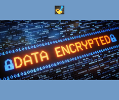 We Use Protected Document Processes